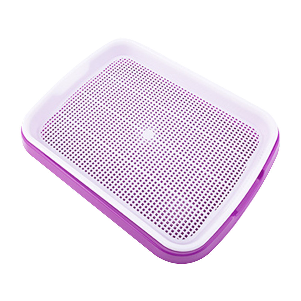 ถาดเพาะเมล็ด วัสดุ PP เกรดอาหา - Food Storage Roots บทวิจารณ์และราคา