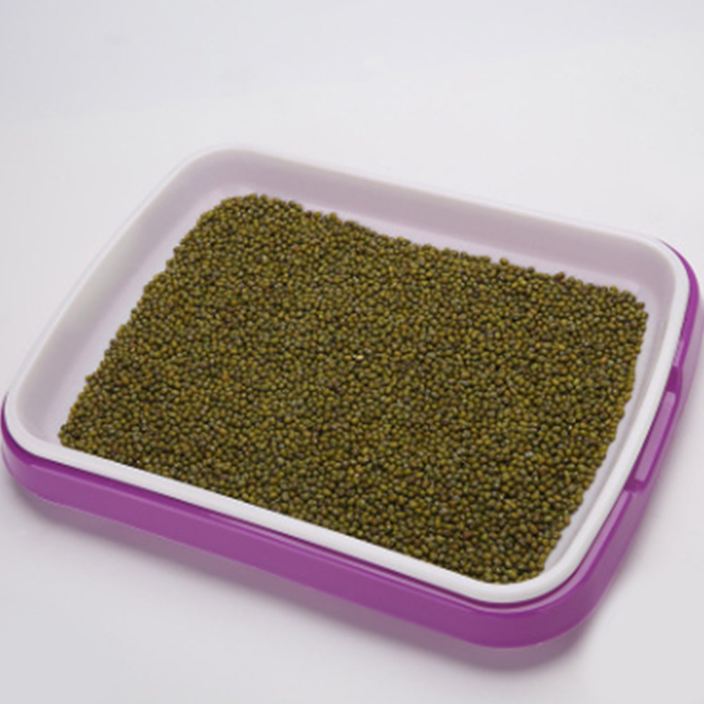 ถาดเพาะเมล็ด วัสดุ PP เกรดอาหา - Food Storage Roots บทวิจารณ์และราคา