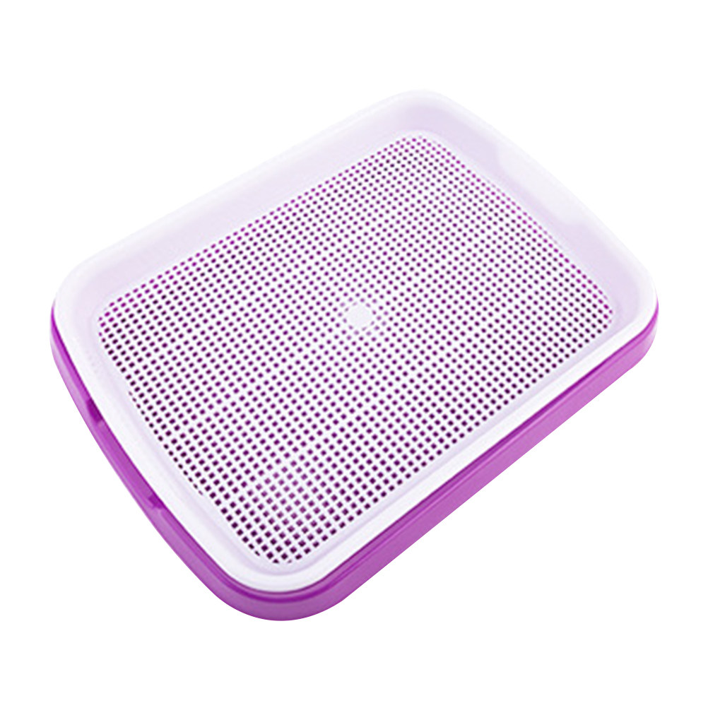 ถาดเพาะเมล็ด วัสดุ PP เกรดอาหา - Food Storage Roots บทวิจารณ์และราคา