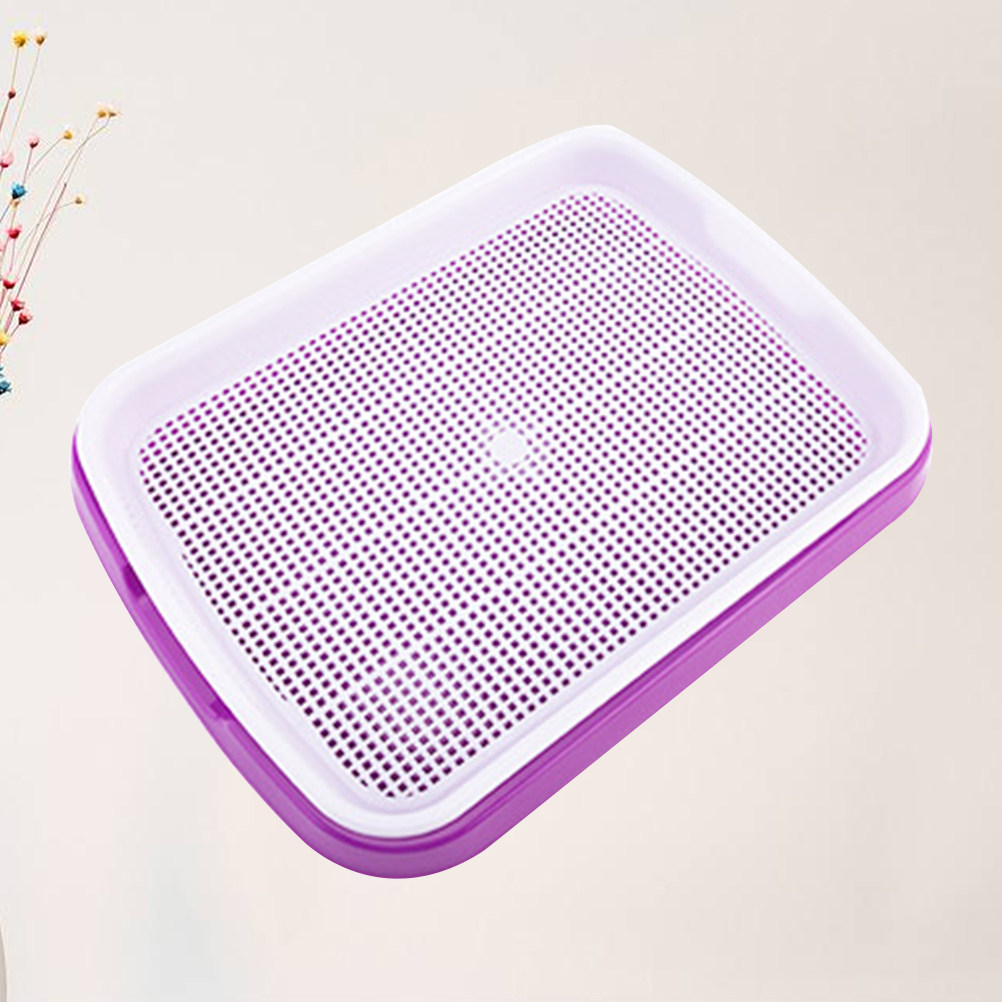 ถาดเพาะเมล็ด วัสดุ PP เกรดอาหา - Food Storage Roots บทวิจารณ์และราคา