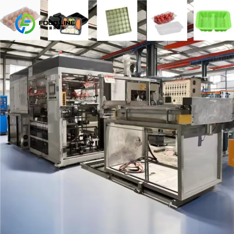 เครื่องผลิตถาดใส่ไข่แบบอัตโนมั - Food Storage Technology บทวิจารณ์และราคา