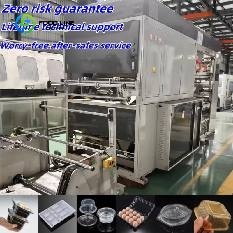 เครื่องผลิตถาดใส่ไข่แบบอัตโนมั - Food Storage Technology บทวิจารณ์และราคา